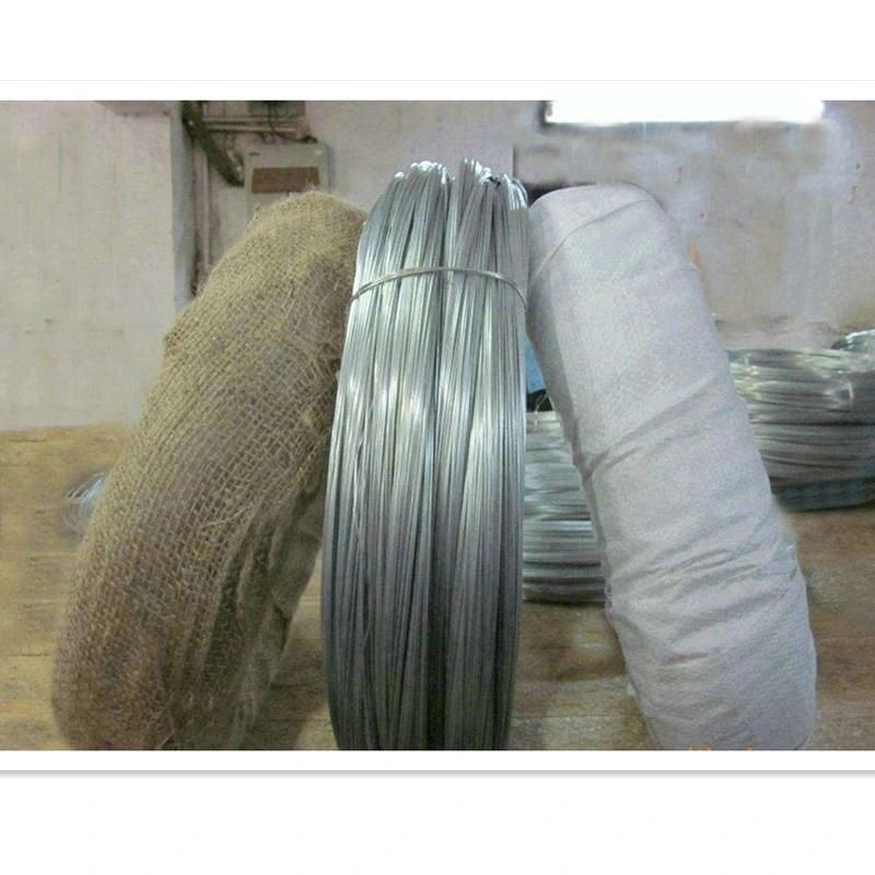 Electro Galvanized Gi Wire