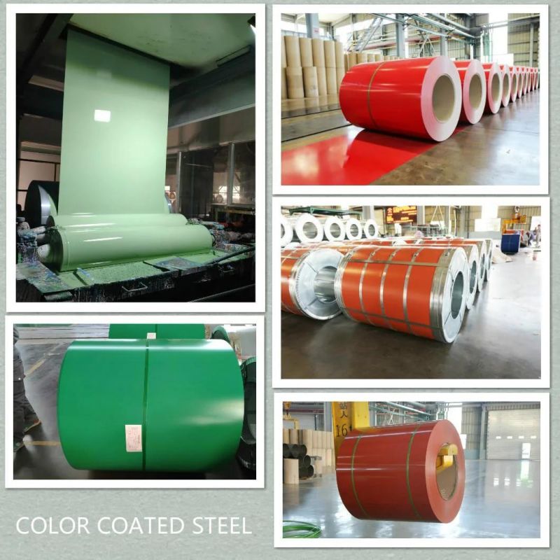 Wholesale Customizable Colors Prepainted Galvanized Steel Coil From China