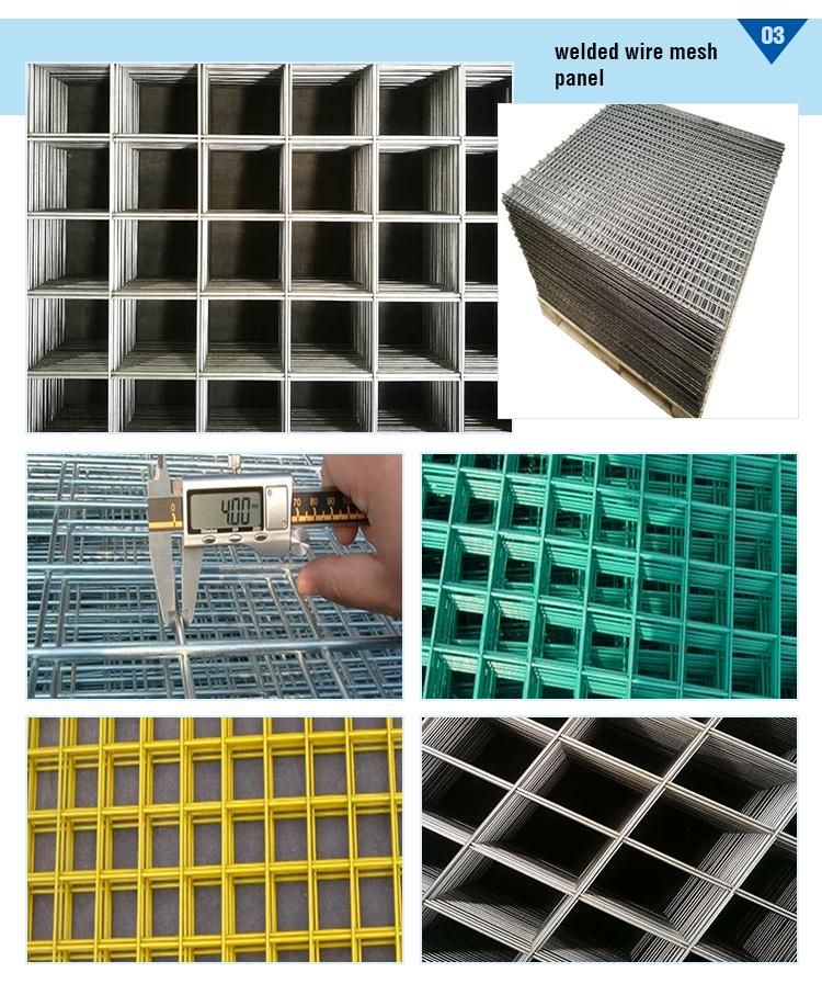 Best Selling 2 X 4 Galvanized Iron Wire Welded Wire Mesh with Lowest Price