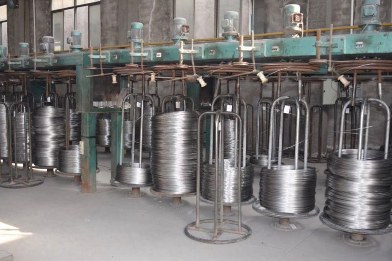 Stainless Steel Soft Annealed Wire