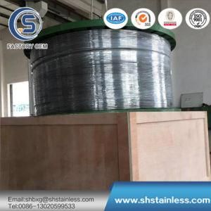 Seamless Stainelss Steel Capillary Pipe (200, 300, 400)