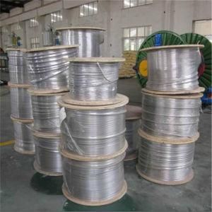ASTM A269 316L Seamless Stainless Steel Coil Tubes with Good Quality