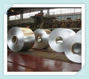 Cold Rold 8K Mirror Stainless Steel Coil 316L 409L 310S