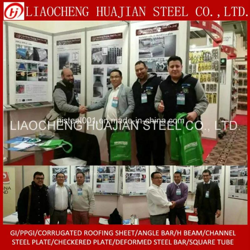 Hot Rolled Galvanized Round Steel Pipe for Scaffolding