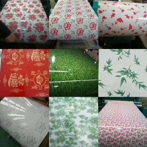Color Coated Galvanized Steel Coil