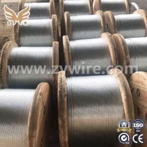 1*7 / Zinc Coated Steel Wire Strand