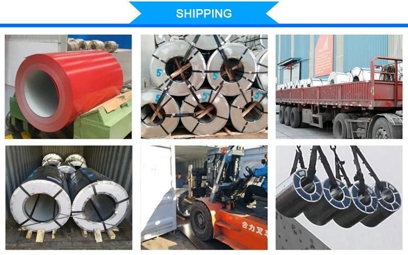 Color Coated PE/PVDF/SMP/HDP Cold Rolled Prepainted Galvanized/Galvalume Steel Coil