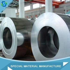 Best Price 317L Stainless Steel Coil / Belt / Strip