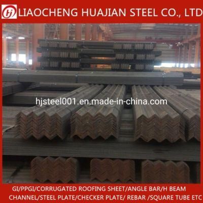 Competitive Price Galvanized Iron Steel Angle Bar