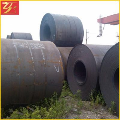 Ss400 S235jr S355jr Q235B Q355 Cold Rolled and A36 Hot Rolled Steel Coil