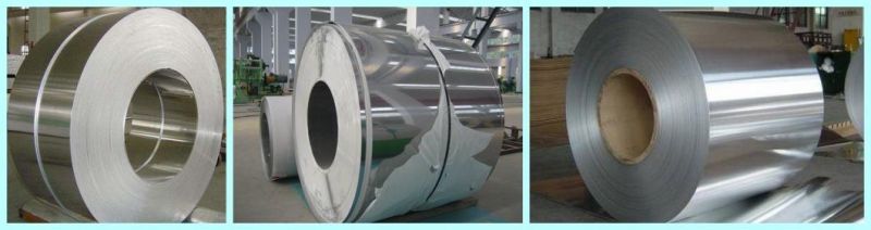 Hot/Cold Rolled Ss 201 304 316L 310S 304L 316 403 405 410 2205 2507 904 904L 430 Tisco Stainless/Galvanized/Aluminum/Carbon Steel Coil