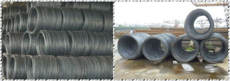 SAE1080 1060 1070 Q195 Hot Rolled Steel Wire Rod in Coils