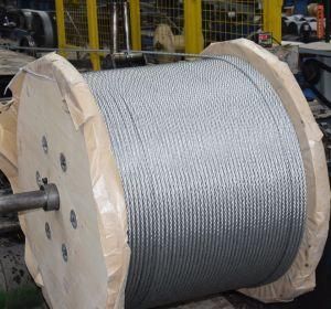 Hot Product Galvanized Steel Wire Rope 19X7 for Lifting