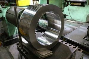 Factory Product Point to Process 2507stainless Steel Strips for Doors/Kitchen Accessories/Wholesale/Distributor
