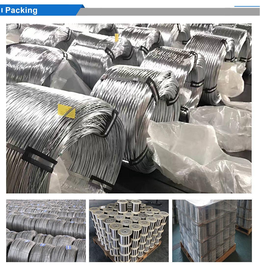 Ss201 Stainless Steel Hot Rolled Wire Rod in Coil 5.5mm 6.5mm