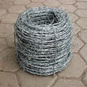 Hot Sale Barbed Wire PVC Coated Iron Wire for Prison Barbed Wire Wholesale Price