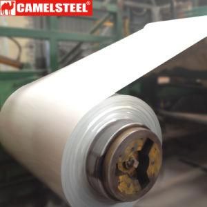 Color Printed Galvanized Steel Coil