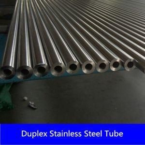 Duplex Pipe in Seamless (S31803, S2205)