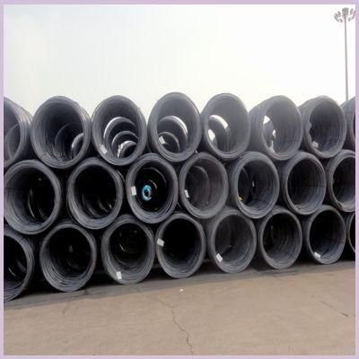 201/304/316/Carbon Steel/ Galvanized Stainless Steel Wires