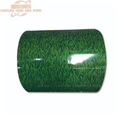 Ral9010 Color Prepainted Galvanized Steel Coil PPGI Color Coated Galvanized Steel Coils and Sheet for Roof Tiles