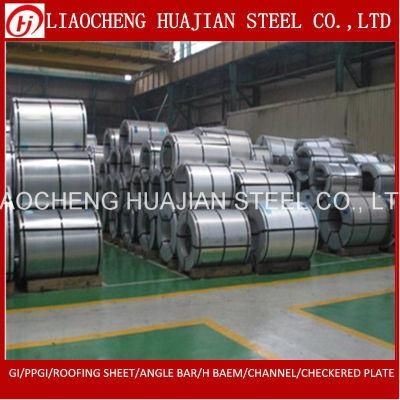 Zinc Coating Hot DIP Galvanized Steel Sheet in Coils