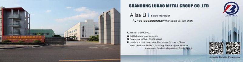 Professional Manufacturer Stainless Steel 304 304L Seamless Tube/Stainless Steel Pipe