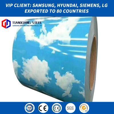 Double Coated Color Painted Metal Roll Paint Galvanized Zinc Coatingppgi PPGL Steel Coil/Sheets in Coils