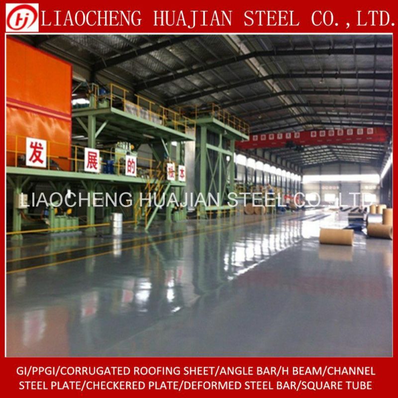 Hot Dipped Galvanized Steel Coil for Roofing Sheet Matel