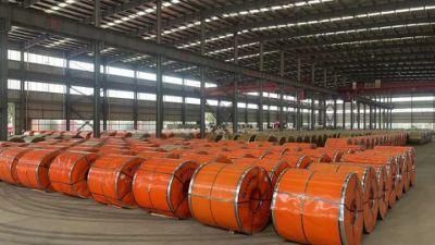 Best Company S235jr Coated PPGI Steel Coil