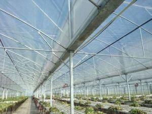 Galvanized Steel Pipe / Gi Tube for Greenhouse Structure