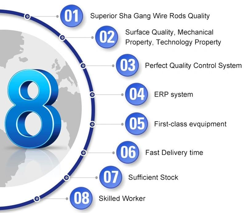 Chinese Suppliers ASTM A313 Ss 316 Stainless Steel Spring Wire
