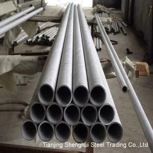 Premium Quality Stainless Steel Tube/Pipe 304L
