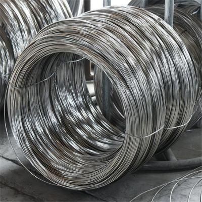 Galvanized Iron Wire/Stainless Steel Wire