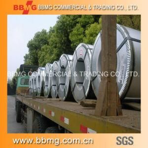 BV Certificated Prepainted Galvanized Metal Steel Coil PPGI