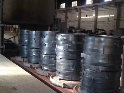 Cold Rolled Steel Coil/Strip