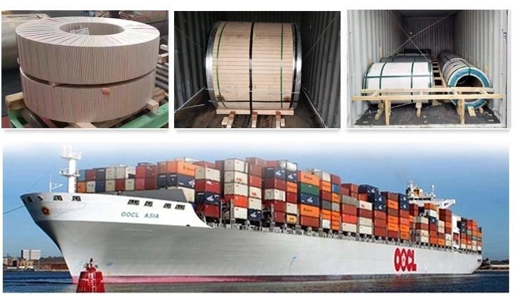 ASTM 304 304L Hot Rolled/ Cold Rolled Customized Surface Stainless Steel Sheet/Coil