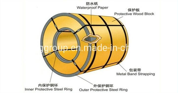 Color Steel Prepainted Galvanized Steel Coil