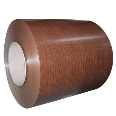 Prime Ral Color New Prepainted Galvanized Steel Coil, PPGI / PPGL / Hdgl / Hdgi, Roll Coil and Sheets