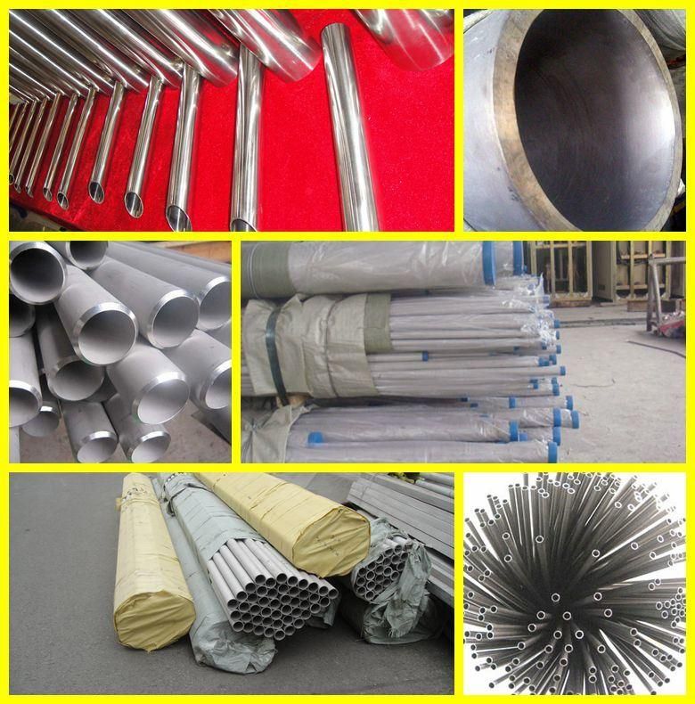 Stainless Steel Pipe / Stainless Steel Tube