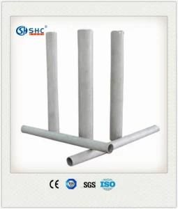 Sanitary 304 316 316L Stainless Steel Seamless Pipe Ss Food Grade Tube