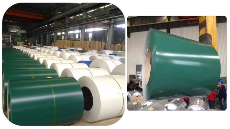 Wholesale Customizable Colors Prepainted Galvanized Steel Coil From China