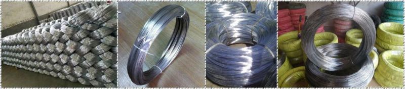 Low Price Galvanized Tie Wire //Electric Galvanized Iron Wire Supplier //Electro Galvanized Iron Wire