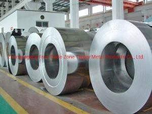 Electrical Household Appliances Production Use Material Stainless Steel Strip