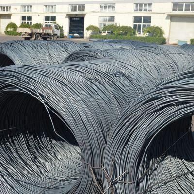 Factory Price Cold Drawn Carbons Teel Steel Wire for Mattress