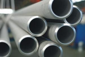 Stainless Steel Seamless Boiler Tube (High Temperature&Pressure)