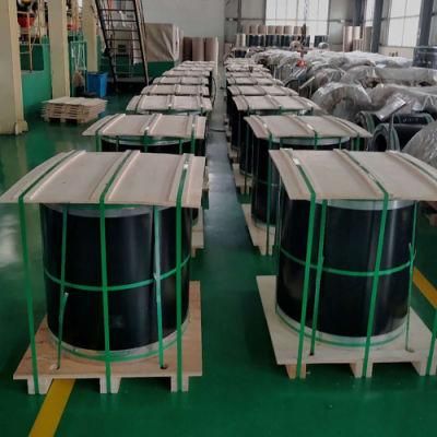 High Quality Color Coated Steel Coil with NBR/FKM for Sealing Gasket
