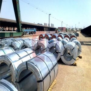 Tinplate Steel Coil