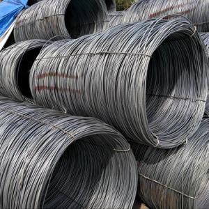 Ms Wire Rod 5.5mm SAE1006/Q195L