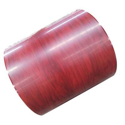 Prepainted Hot Sales PPGL Coil for Ceiling Tile