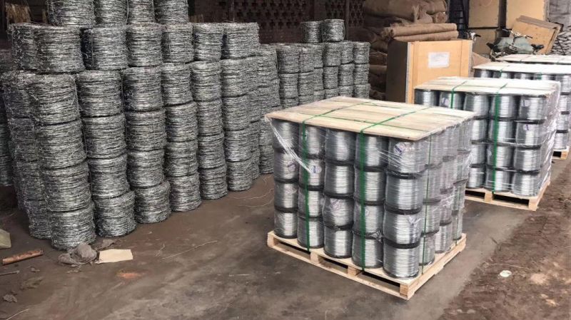 China Factory 18gauge 25kg/Roll Electro Gi Soft Iron Wire/Galvanized Binding Wire